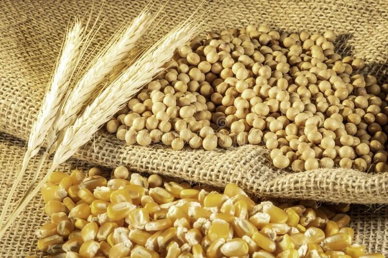 Corn, Soy and Wheat, main agricultural commodities